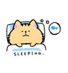 日常ねこ①（個別スタンプ：16）