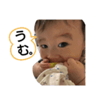 まえだ     かぞく（個別スタンプ：5）