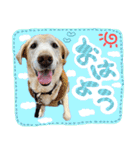 そらと.（個別スタンプ：1）