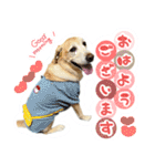 そらと.（個別スタンプ：2）