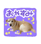 そらと.（個別スタンプ：3）