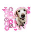 そらと.（個別スタンプ：6）