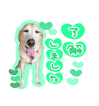 そらと.（個別スタンプ：9）
