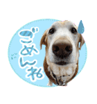 そらと.（個別スタンプ：10）