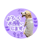 そらと.（個別スタンプ：12）