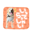 そらと.（個別スタンプ：14）