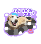 そらと.（個別スタンプ：16）