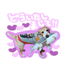 そらと.（個別スタンプ：17）