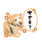 そらと.（個別スタンプ：22）