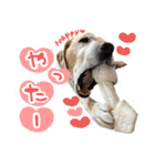 そらと.（個別スタンプ：25）