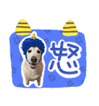 そらと.（個別スタンプ：26）