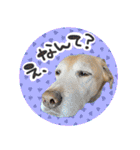 そらと.（個別スタンプ：27）