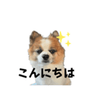 ろしおさん3（個別スタンプ：20）