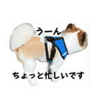 ろしおさん3（個別スタンプ：32）