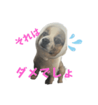 ろしおさん3（個別スタンプ：35）