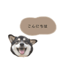 an＆komachi 4（個別スタンプ：1）