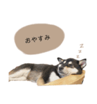 an＆komachi 4（個別スタンプ：3）