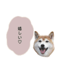 an＆komachi 4（個別スタンプ：5）