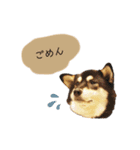 an＆komachi 4（個別スタンプ：6）