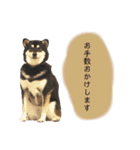 an＆komachi 4（個別スタンプ：10）