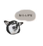 an＆komachi 4（個別スタンプ：12）