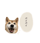 an＆komachi 4（個別スタンプ：13）