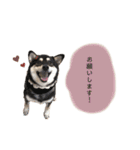 an＆komachi 4（個別スタンプ：14）