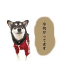 an＆komachi 4（個別スタンプ：16）