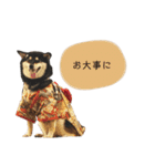 an＆komachi 4（個別スタンプ：17）