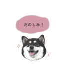an＆komachi 4（個別スタンプ：20）
