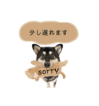 an＆komachi 4（個別スタンプ：24）