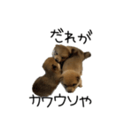 かんなkids（個別スタンプ：7）
