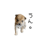 かんなkids（個別スタンプ：10）