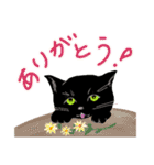 黒猫ナンの日常（個別スタンプ：1）