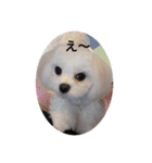 気遣いcoco（個別スタンプ：4）