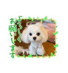 気遣いcoco（個別スタンプ：5）