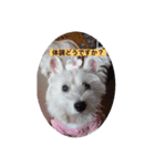 気遣いcoco（個別スタンプ：7）