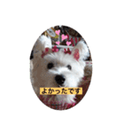 気遣いcoco（個別スタンプ：8）