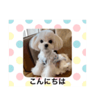 気遣いcoco（個別スタンプ：9）