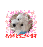 気遣いcoco（個別スタンプ：10）