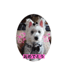 気遣いcoco（個別スタンプ：14）