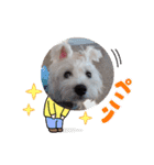 気遣いcoco（個別スタンプ：15）
