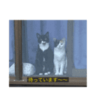 字幕ねこ（個別スタンプ：8）