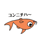 毎日サカサナマズ！（個別スタンプ：3）