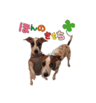 下町JRT四郎とさくら（個別スタンプ：1）