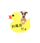 下町JRT四郎とさくら（個別スタンプ：3）