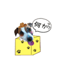 下町JRT四郎とさくら（個別スタンプ：4）