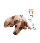 下町JRT四郎とさくら（個別スタンプ：7）