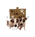 下町JRT四郎とさくら（個別スタンプ：11）