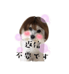 emmashoji2（個別スタンプ：4）